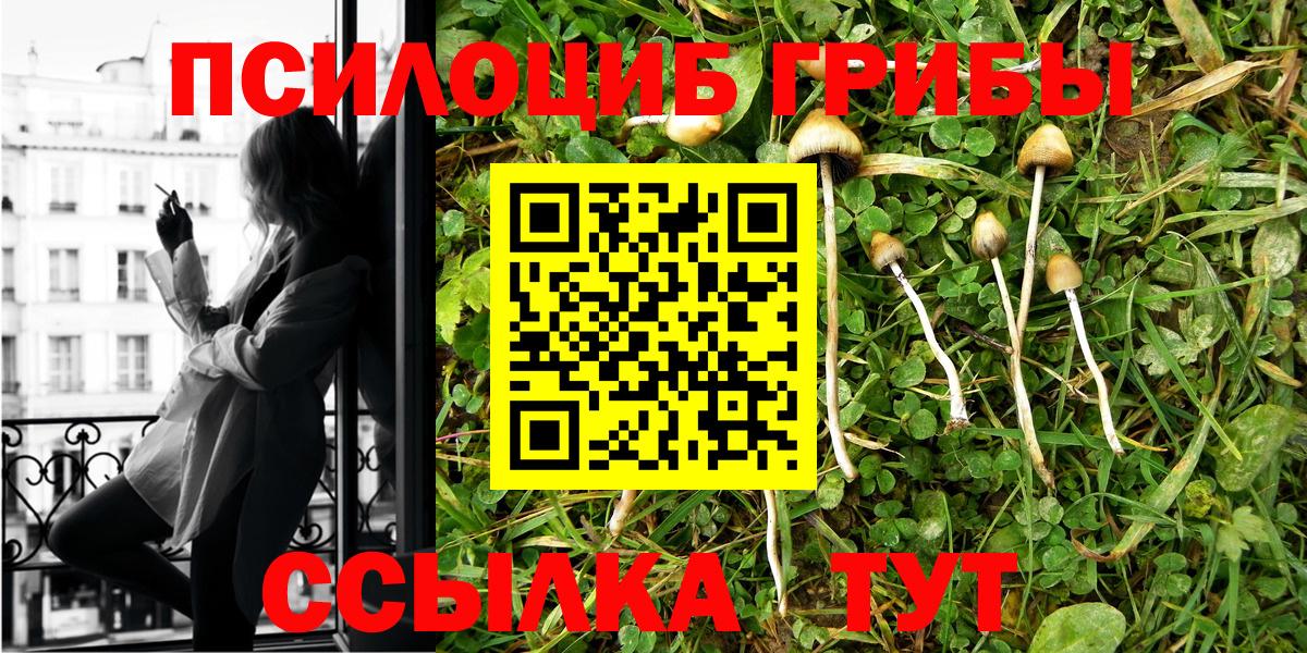 Псилоцибиновые грибы MAGIC MUSHROOMS Гагарин